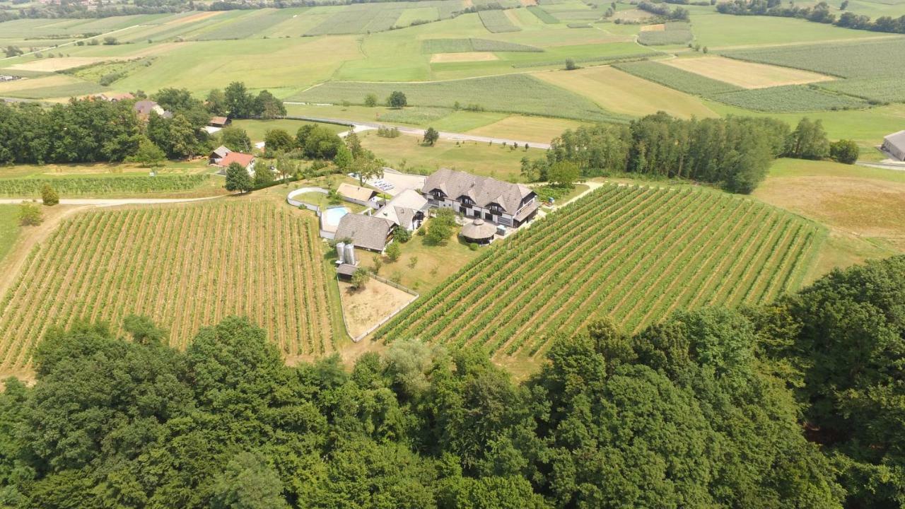 Villa Istenic Bizeljsko Exteriér fotografie